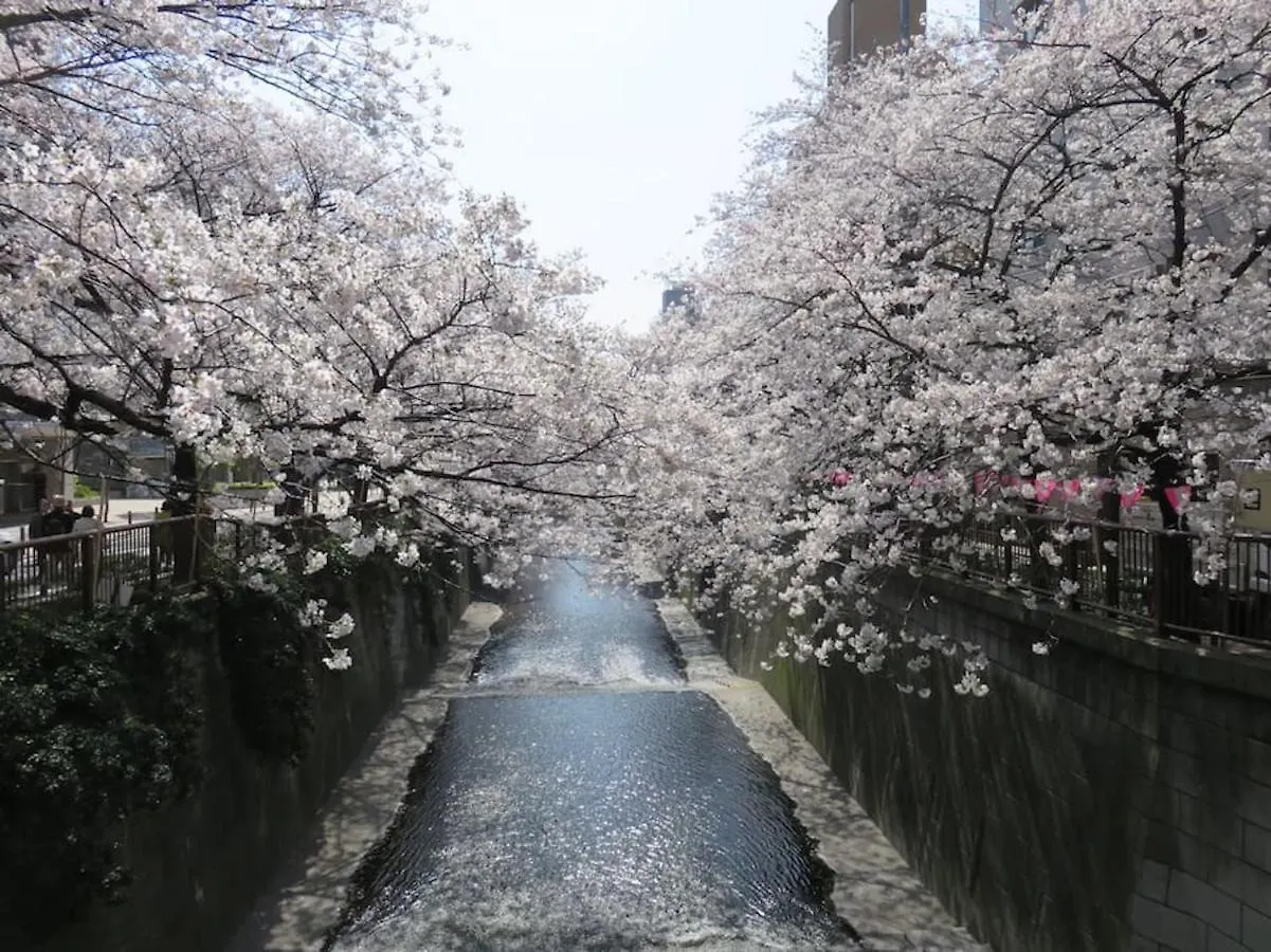 10 Minutes Direct To Shibuya Crossing! Heart Of Tokyo! Mishuku Apartment