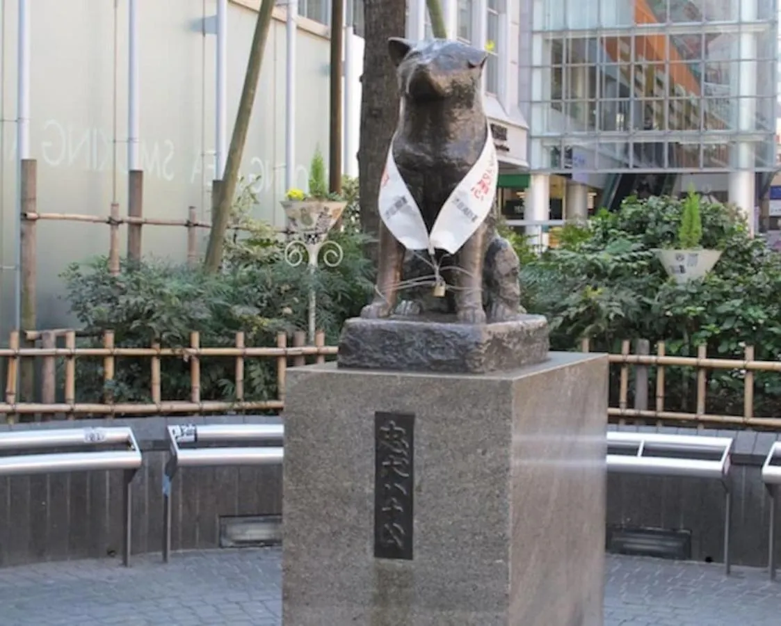 10 Minutes Direct To Shibuya Crossing! Heart Of Tokyo! Mishuku Apartment 0*, Tokyo